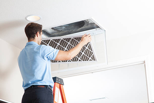 Best Air Filters and Purifiers in Benton City, WA